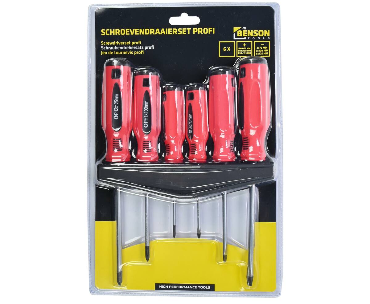 6-delige Schroevendraaierset: Incl. Platte & Kruiskop, Met Rekje