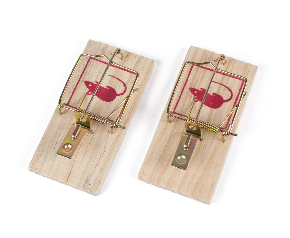 Muizenval Set 2st - 10x5x1cm Hout/Metaal, Snel en Eenvoudig Vangen