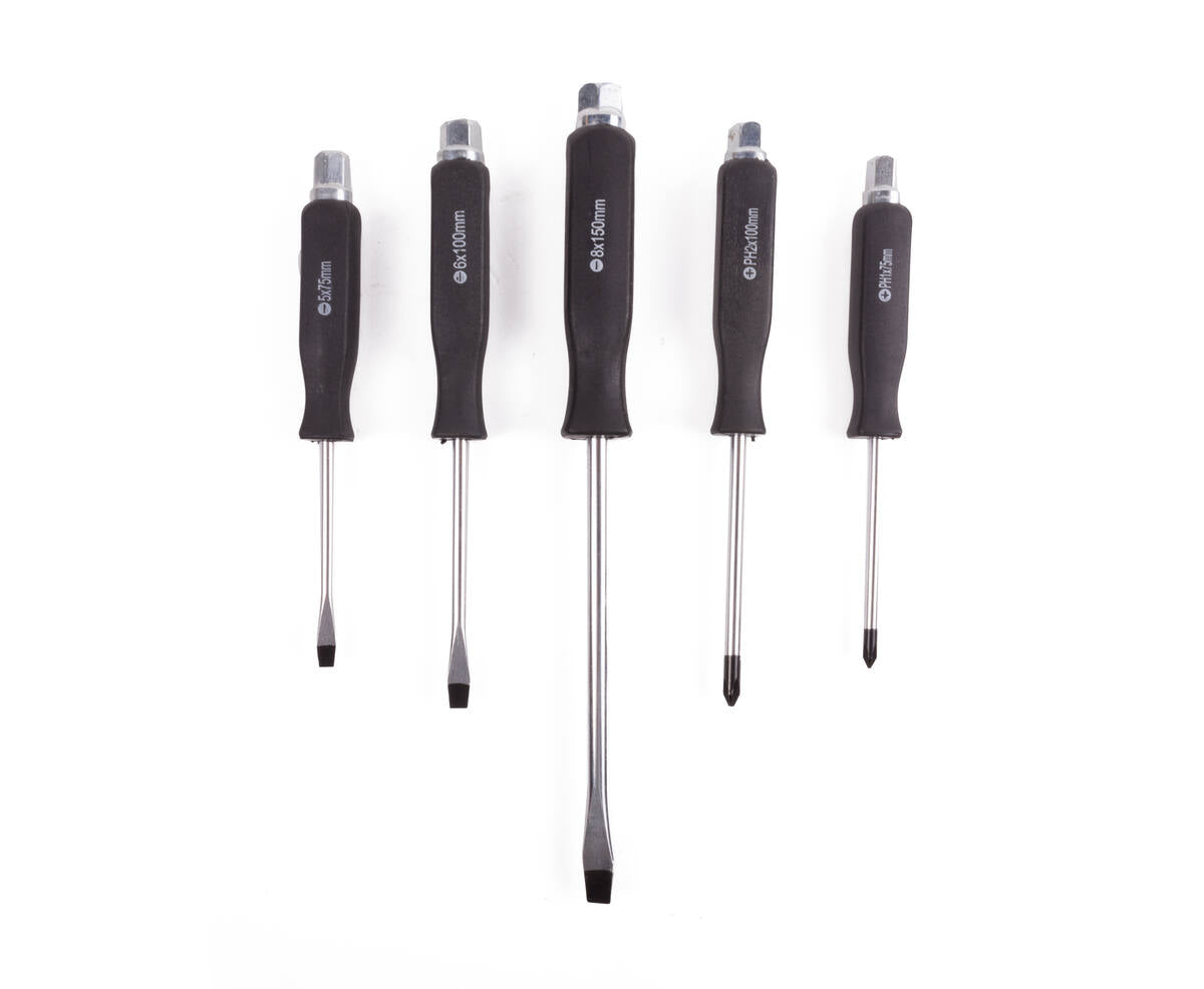 5-delige Profi Schroevendraaier Set, Roestvrij Staal, Magnetische Tips