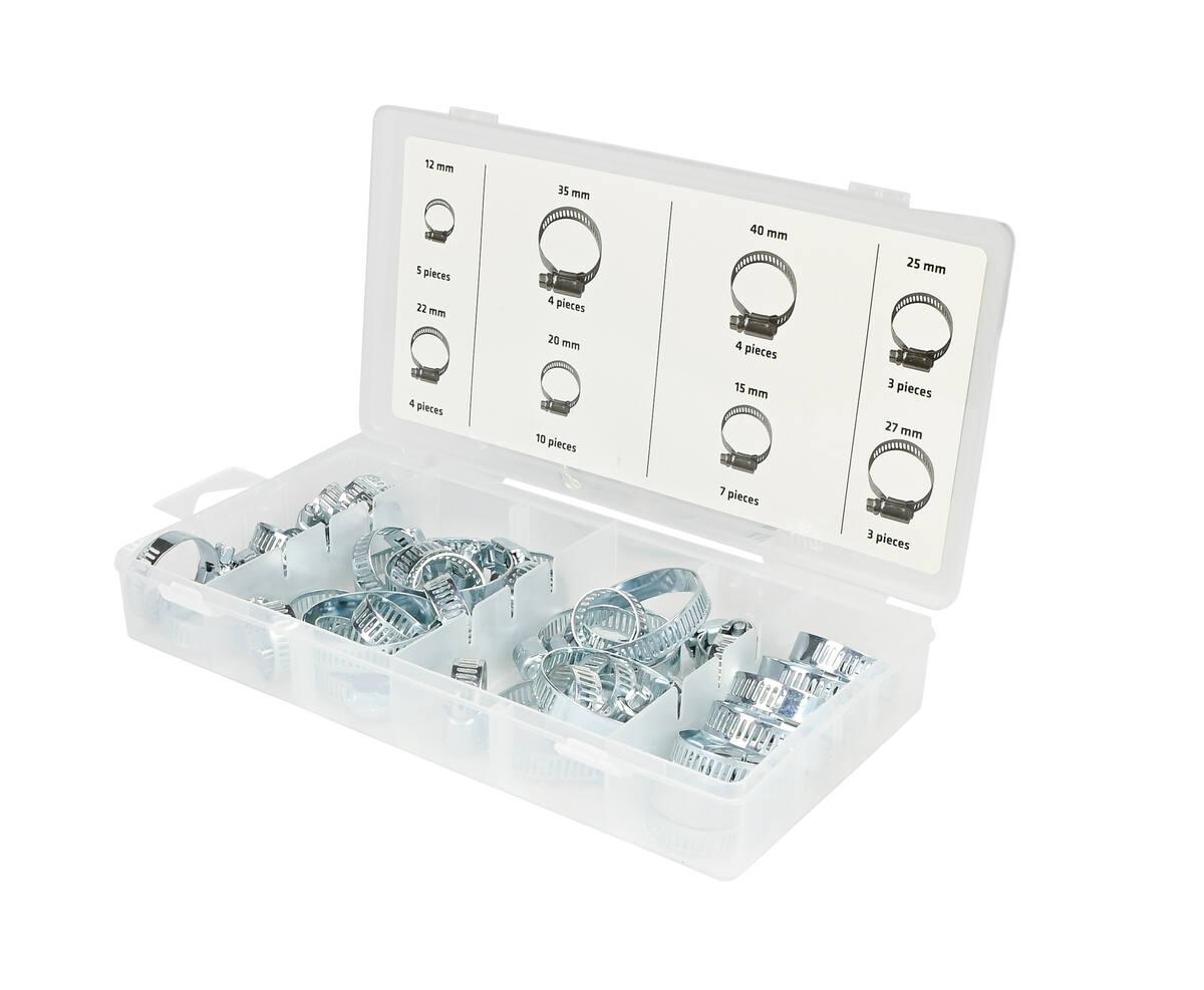Slangklemmen Set 40 dlg RVS - Ideaal voor Diverse Herstelprojecten