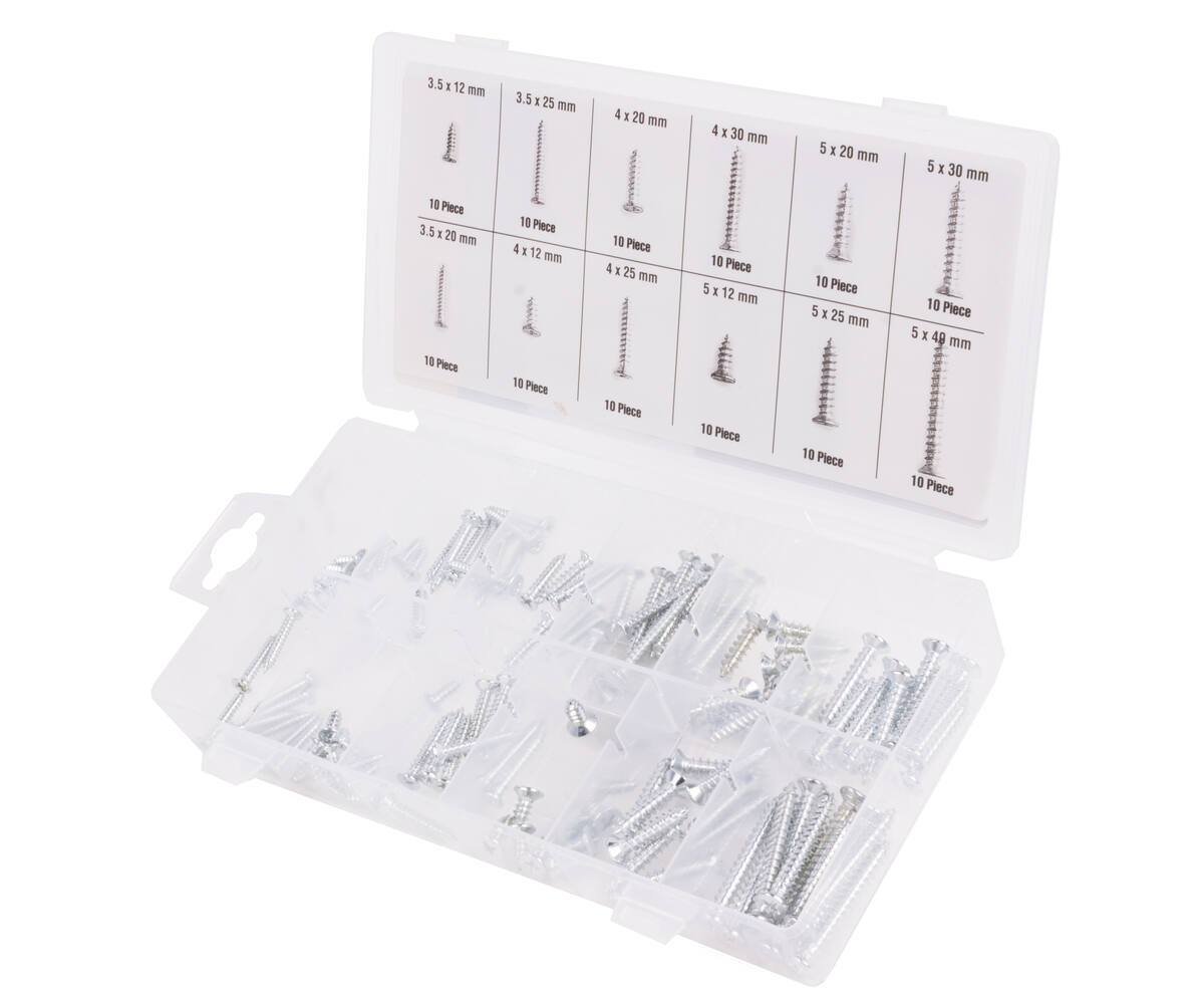 Houtschroeven Set 120 dlg - Staal, Corrosiebestendig, 12-40mm