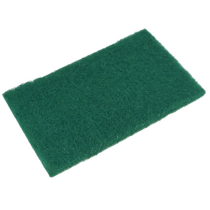 Schuurpadenset 10 stuks, ideaal voor pannen en verfklussen, 15x10x0.6 cm