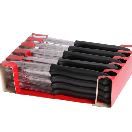 Solingen Schilmesje Recht RVS Kunststof Handvat voor Groenten en Fruit