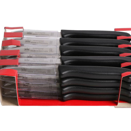 Solingen Schilmesje Recht RVS Kunststof Handvat voor Groenten en Fruit