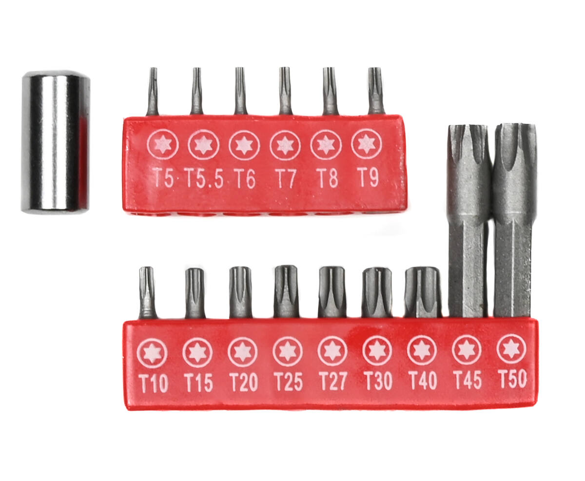 16-delige Torx Bitset Cr-V, Ideaal voor Diverse Klusprojecten