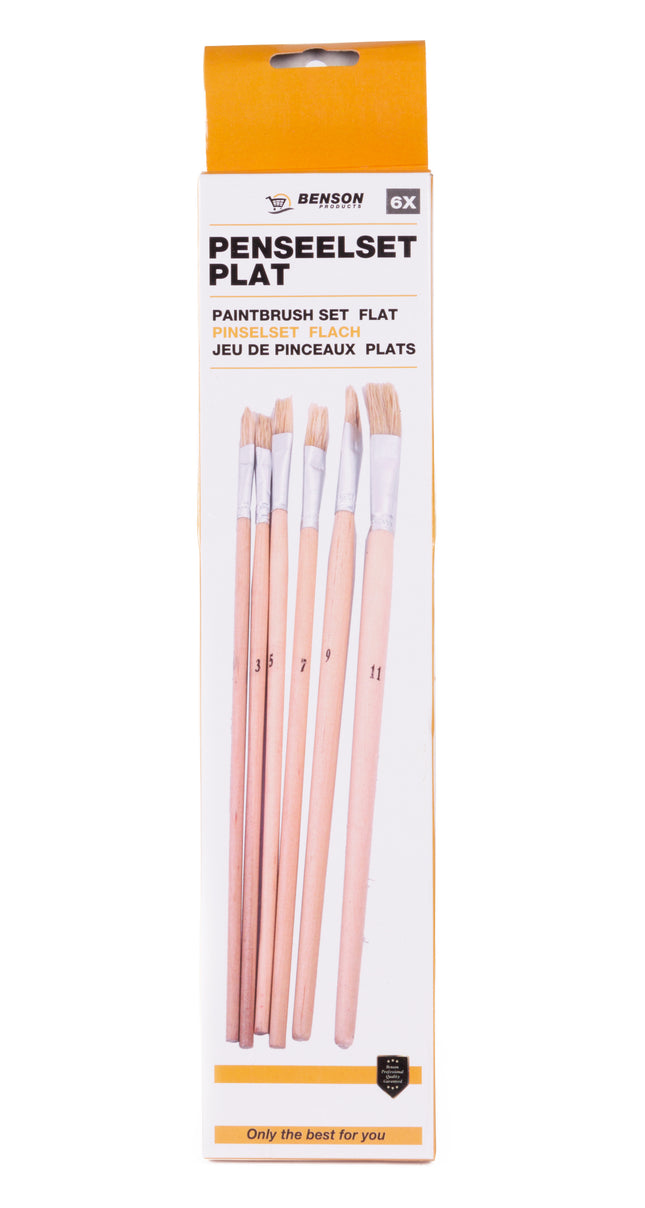 Penseelset 6 dlg plat