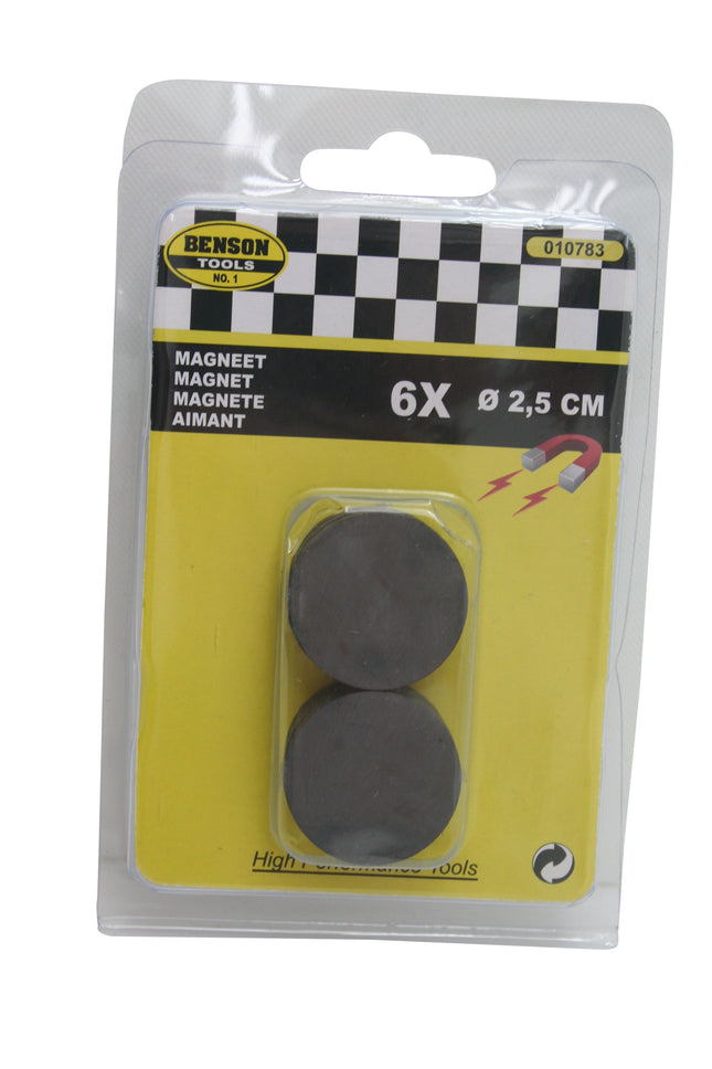 Magneet 25 mm 6 dlg rond – 4 mm