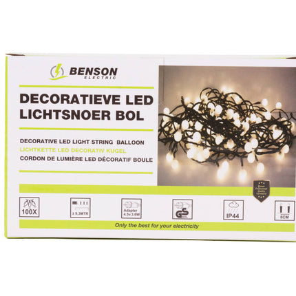 LED Lichtsnoer 100 Gekleurde LED's, 9.3m, Voor Binnen en Buiten