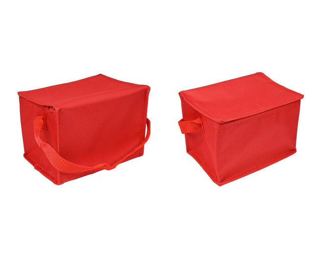 Koeltas 4L: 20x14x14cm, ideaal voor picknick en stranduitjes.