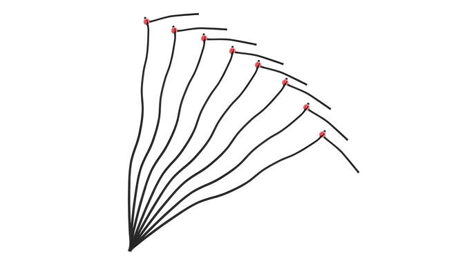 Elastiek met snelsluiting 5 mm x 60 cm 8 dlg